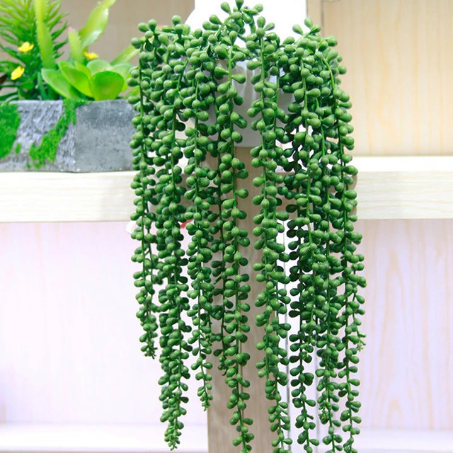 1pc Artificial Succulent Beads Green Fake Hanging Vine String of Pearls  Lover Tears Plants for Home Wedding Party Garden Decor - AliExpress