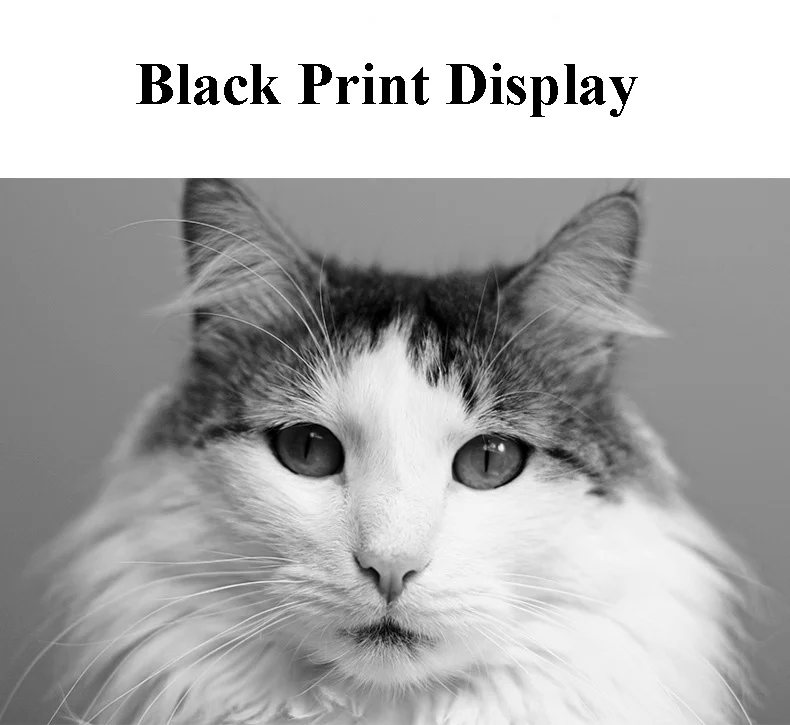 Befon T664 красителя пополнения чернил для Epson 664 принтер L100 L110 L111 L120 L200 L201 L211 L300 L550 L1300 L445 L565 ET2500 ET2550