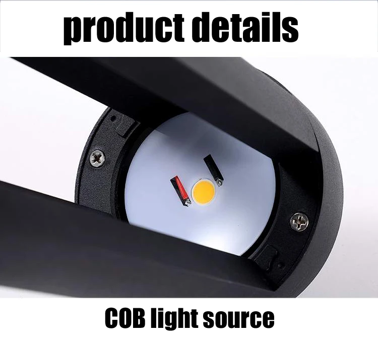 C1