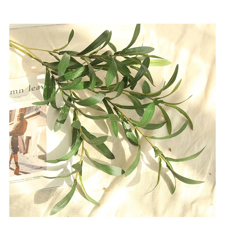 9663882551_1245478559