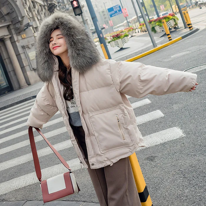 

Cotton-padded Clothes 2018 New Style Student Short INS Loose-Fit BF Fur Collar down Jacket Cotton-padded Clothes Fashion Small T