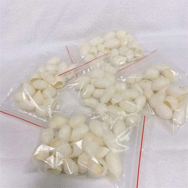 257700-98ed9d.jpg