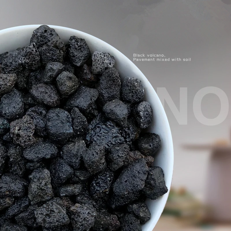 500 г выделенная суккулентная почва посадочная глина мощение средних растений