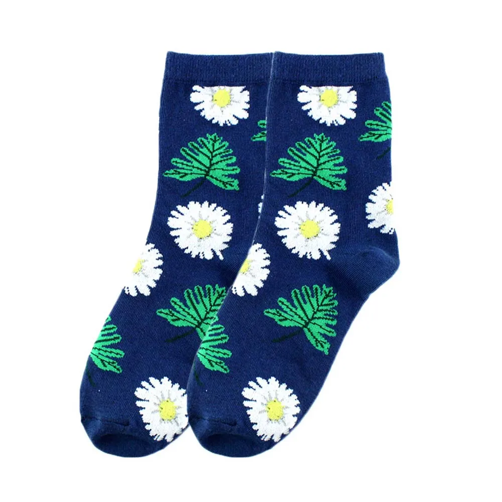 8a9ae1c16dd34308016dd3b605f50336