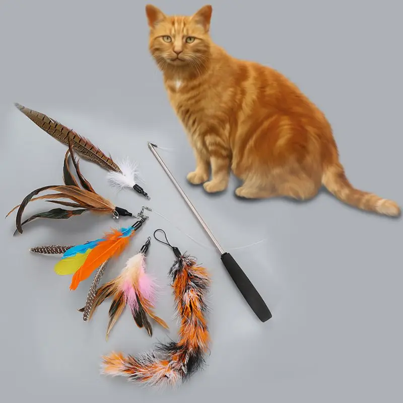 

Pet Cat Interactive Flexible Exercise Toy Strip Tease Cat Wand Toy With 1 Bell 5 Pcs Replacement Feather Heads For Cat Supplies