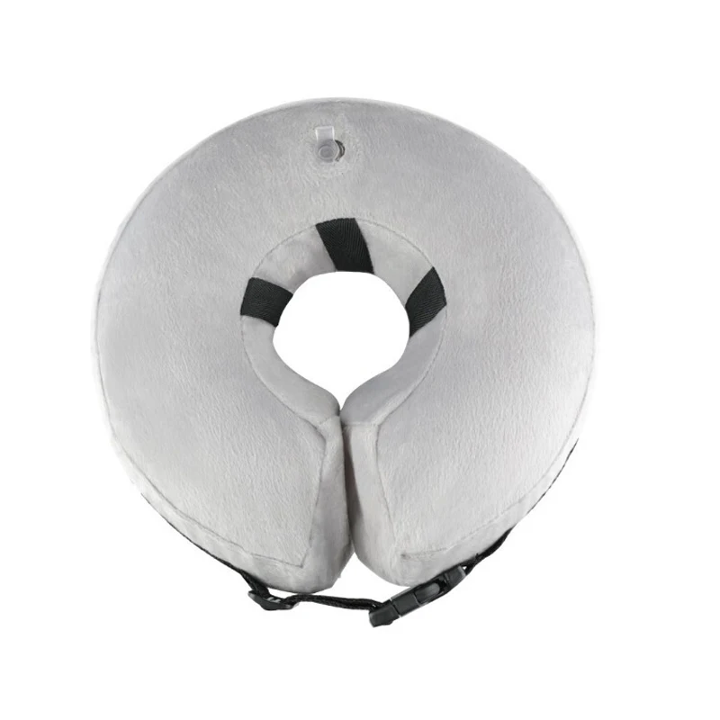 8564301223_1977949419