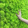 20g Artificial plant eternal life moss / Garden home decoration wall DIY Flower material Mini Garden Micro Landscape Accessories ► Photo 2/6