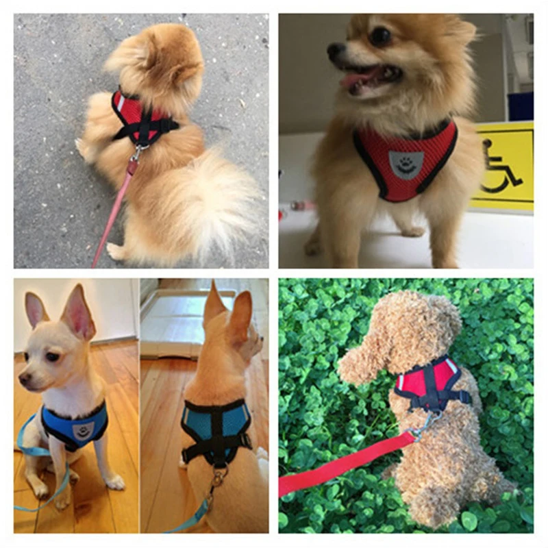 Dog Harness Adjustable Mesh and Leash 2