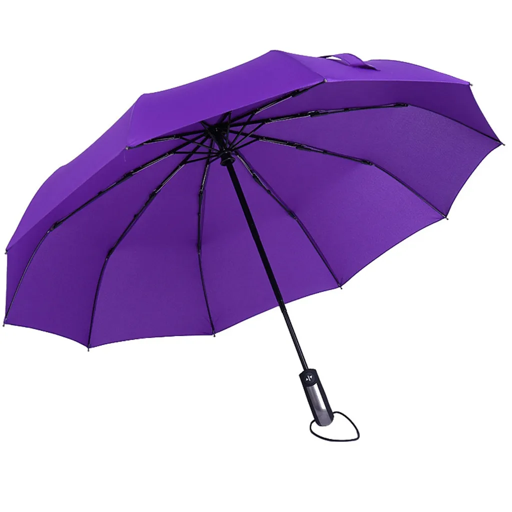 Ветрозащитные двухслойные зонты, складной зонт с защитой от ультрафиолета, 10 костей, автоматические зонты, Зонт от дождя и солнца - Цвет: Фиолетовый