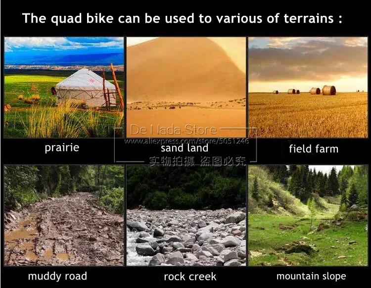 various of terrains (4)