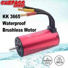 3665 brushless motor