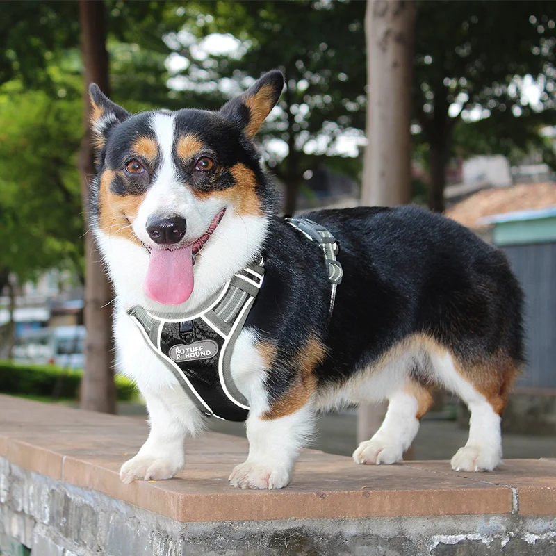 Tuff Hound средний и собачий ошейник большого размера, удобный дышащий Регулируемый светоотражающий ремень для собак