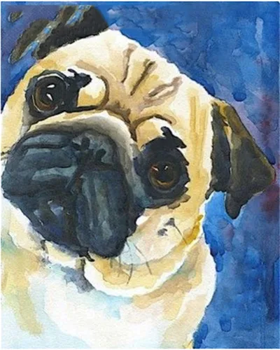 AZQSD DIY краски по номерам на холсте собака Наборы украшения акриловые краски Раскрашивание по номерам животных ручная краска ed подарок - Цвет: SZGD3678