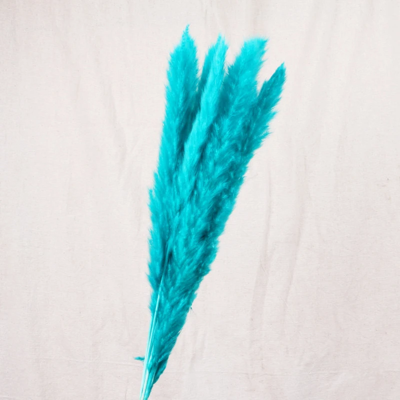 30pcs Small Pampas Grass Bulrush Natural Dried Phragmites Christmas Home Decor Diy Dried Real Flowers Bouquet Flower Arrangement