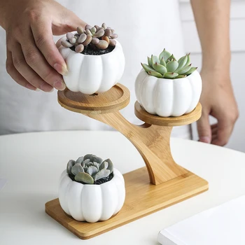 

Hot 1 Set Ceramic Garden Pots Modern Pumpkin Flowerpot Nursery Succulent Plant Pot 3 Bonsai Planters with 3-Tier Bamboo Shelf