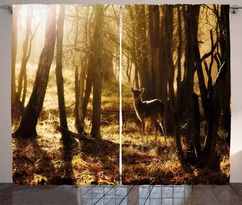 

Cabin Window Curtains Young Deer at Sunset in The Fresh Forest National Park Outdoors Netherlands Photo Living Room Decor