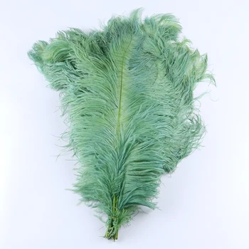 

10pcs Wholesale Hard Pole Ostrich Feather High quality Natural Decorative Feather Home Party Vase Decoration for crafts Plume