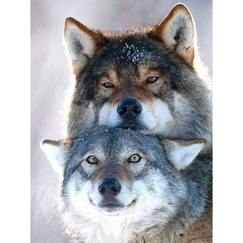 Алмазная живопись 5d Wolf вышивка мультяшная крестиком в американском стиле