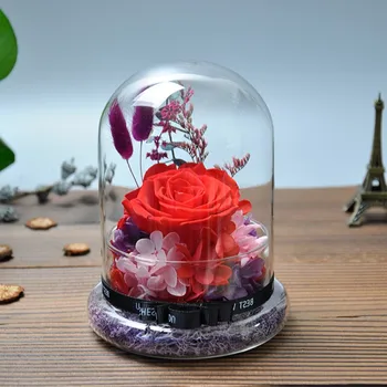 

11*18cm Glass Base Glass Dome Vase Home Decoration Diameter=11cm Height=18cm Glass Cover Vase Friend Gift Wedding Decoration