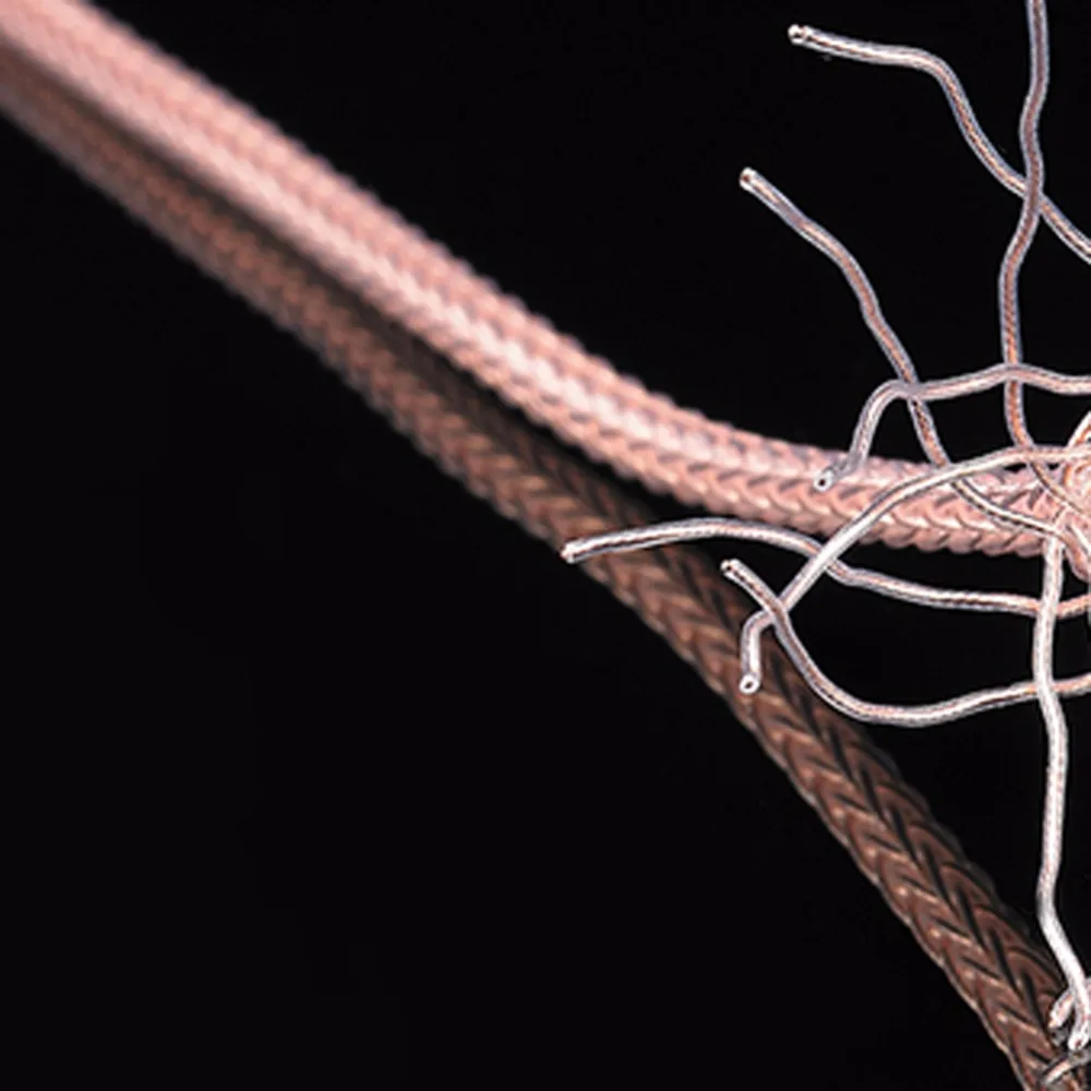 UTB8Cegoy9nEXKJk43Ubq6zLppXaG