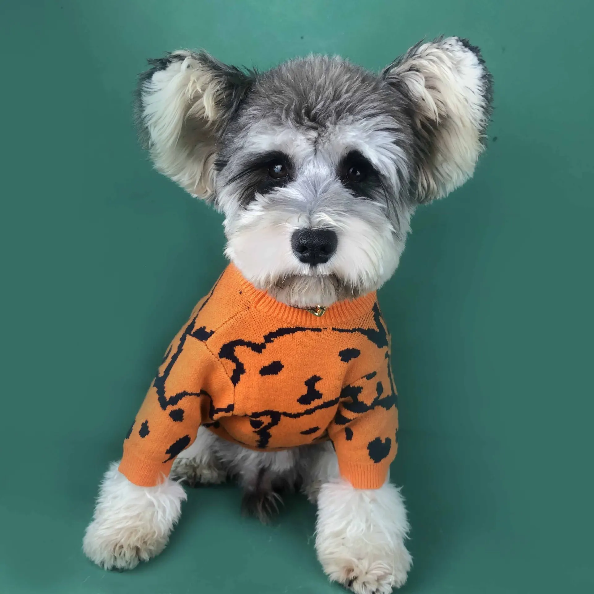 Schnauzer восхитительный свитер со щенком, теплая одежда для собак, милый свитер для собак, домашняя одежда для плюшевого мопса, свитер с рисунком бульдога