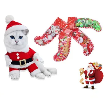 

Pet Cat Toy Christmas Set PE Socks Packaging Multicolor Christmas Set A Variety Of Small Toy Combination Set For Cats
