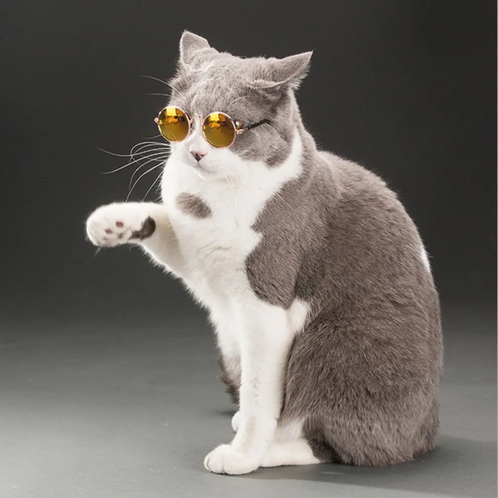 Pet Солнцезащитные очки Модные солнцезащитные очки Мишка, собака, кошка очки Аксессуары для домашних животных модные забавные головные уборы кошачьи очки