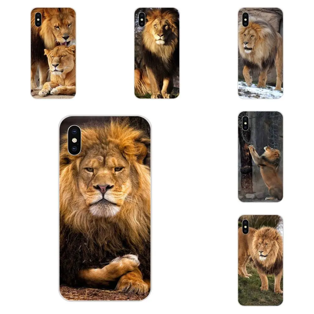 Чехол King Of Lion из ТПУ для Huawei Honor 4C 5A 5C 5X 6 6A 6X 7 7A 7C 7X 8 8C 8S 9 10 10i 20 20i Lite Pro | Мобильные