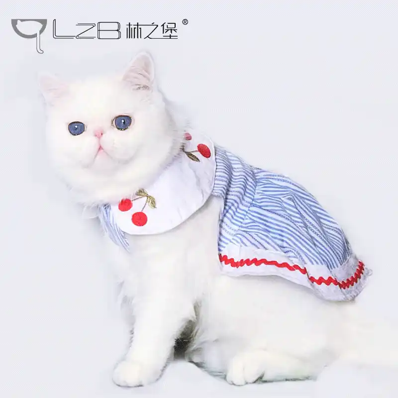 Caliente Boda Gatos Vestido Gatito Traje Lindo Gato Vestido De Ropa De Casa De Navidad Traje Abrigo Ropa Para Mascota Gatos Suministros Oo50qz Aliexpress