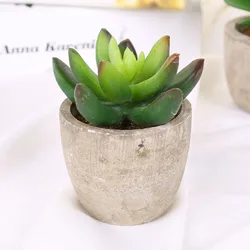 Mini Artificial Succulent Decorative Bonsai Plant (Style 1)