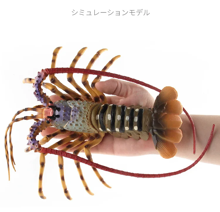 Морские организмы модель морепродукты Омары океаны животное модель подводная игрушка кукла украшения пластик