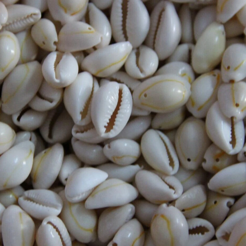 100Pcs White DIY Sea Shell Cowrie Cowry Charm Beads Beach Jewelry Accessories for Women Sea Shells Earrings Bracelet Necklace 3