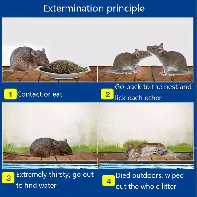 6 Csomag Egér Rágcsáló Csali Patkány Egerek Csapdájának Nagy Hatékonyságú Egerek. - Image 6