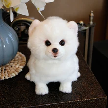 Poupée de chien en peluche poméranie, Simulation de chien, jouet Super réaliste pour les amoureux des animaux de compagnie, décoration de luxe pour la maison, blanche neige