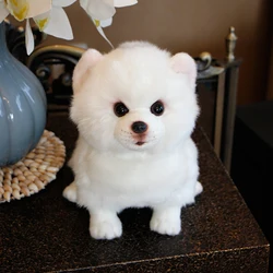 Pelúcia pomeranian cão boneca simulação cão de pelúcia brinquedos animais de pelúcia super realista brinquedo do cão para os amantes do animal de estimação luxo casa decoração neve branco