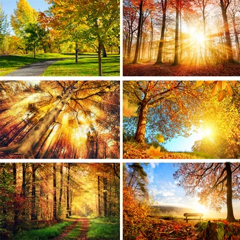 

Nitree Sunlight Yellow Trees Foliage Fallen Leaves Autumn Forest Landscape Backdrop Photo Studio Photography Background Vinyl