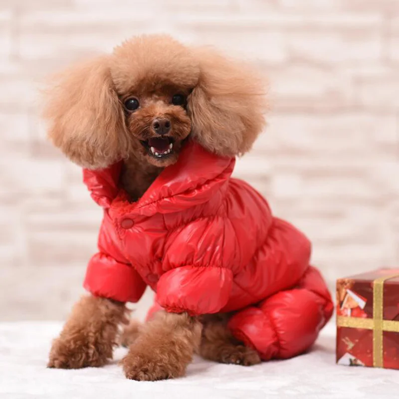 Зимний комбинезон для собак, для питомцев, кошек, теплый высокий воротник, четыре ноги, одежда для маленьких и средних собак, чихуахуа, плюшевый костюм XS s m l xl XXL - Цвет: Red