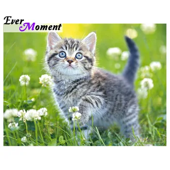 

Ever Moment Diamond Painting Lovely Cat Green Lawn Full Square Resin Drills Mosaic Embroidery Home Decoration Leisure Time 4Y166