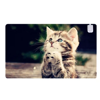 

Mouse Pad, Warm Winter Office Desk Mouse Pad, Safe Low Voltage,Gaming Electric Heating Pad, Table Heating Pad