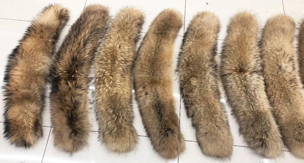 Hca18f4ebbe964a8784dff3d4090fb635P