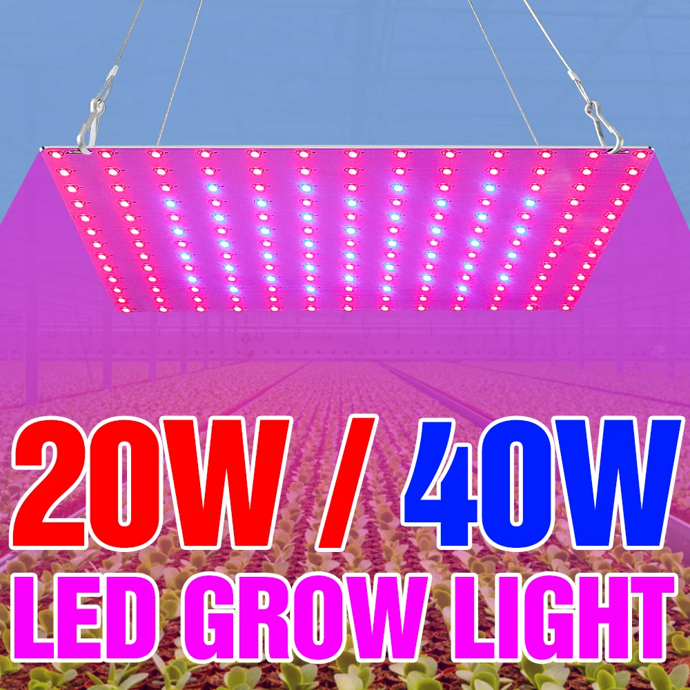 

Greenhouse Plant Grow Light LED Full Spectrum Flower Seed Phyto Growth Tent 20W 40W Seedling Fito Lamp 220V Hydroponics Lampada