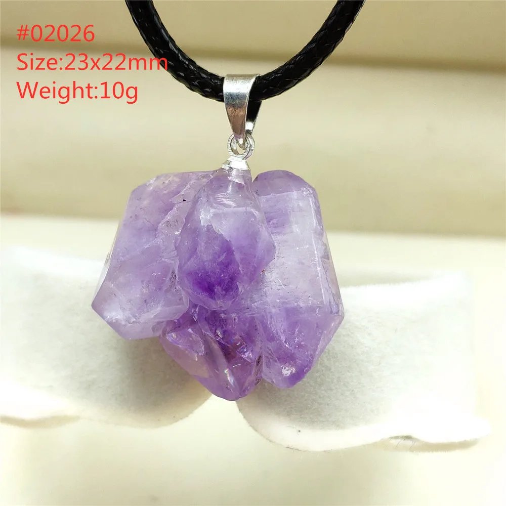 ASC02026 (2)