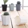 Garden Supplies