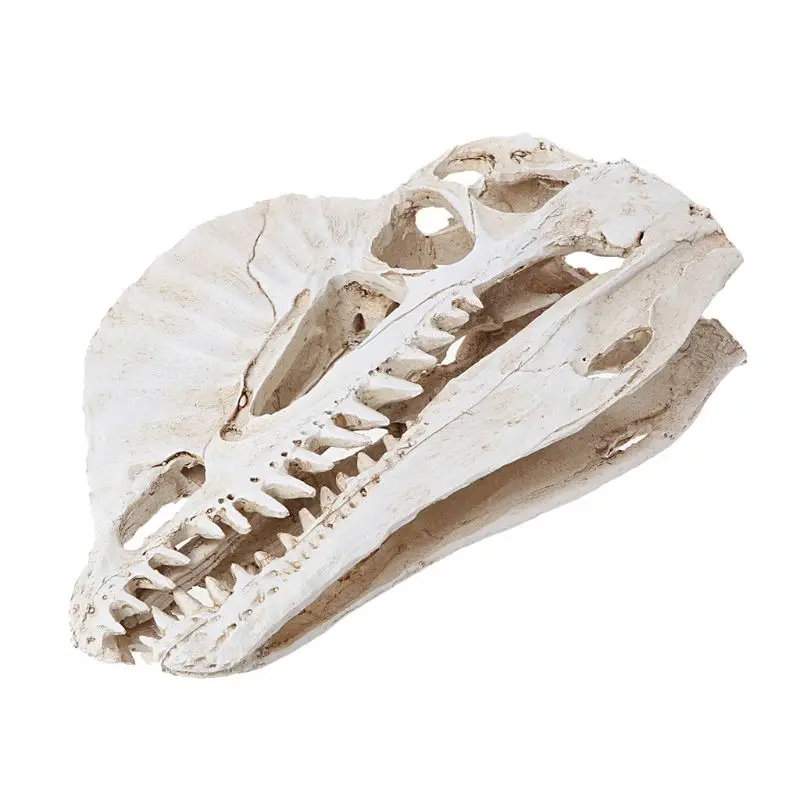 Dilophosaurus череп динозавра смолы ремесла Fossil обучение скелету модель Хэллоуин украшения дома офиса