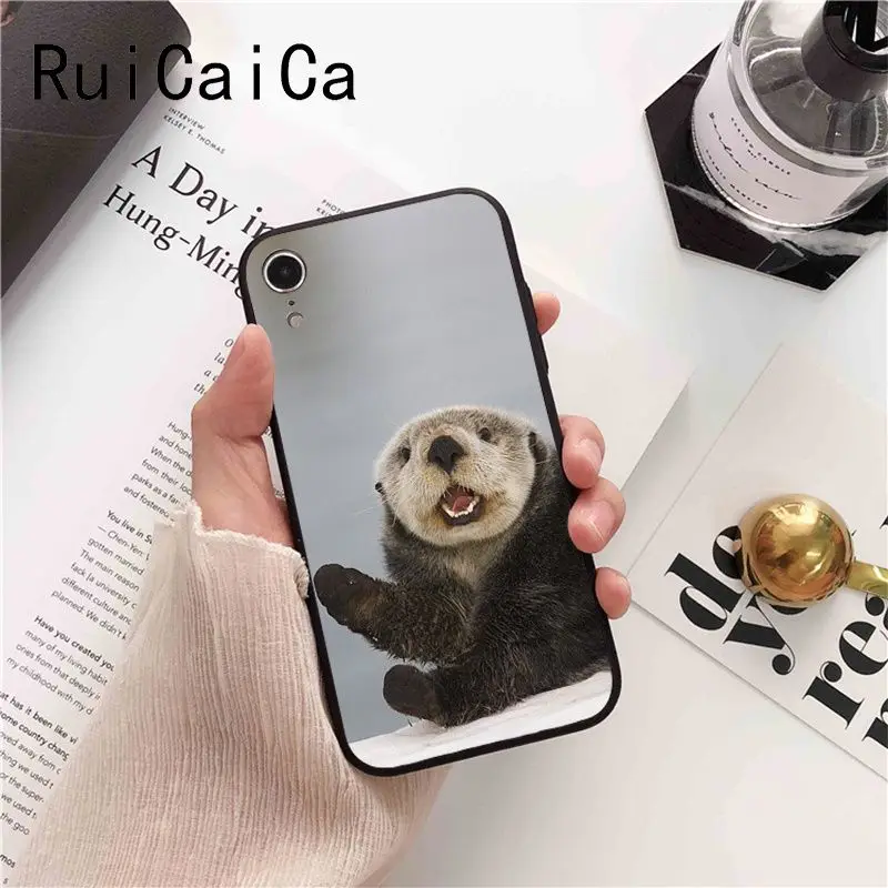 lovely cute Otter water animal