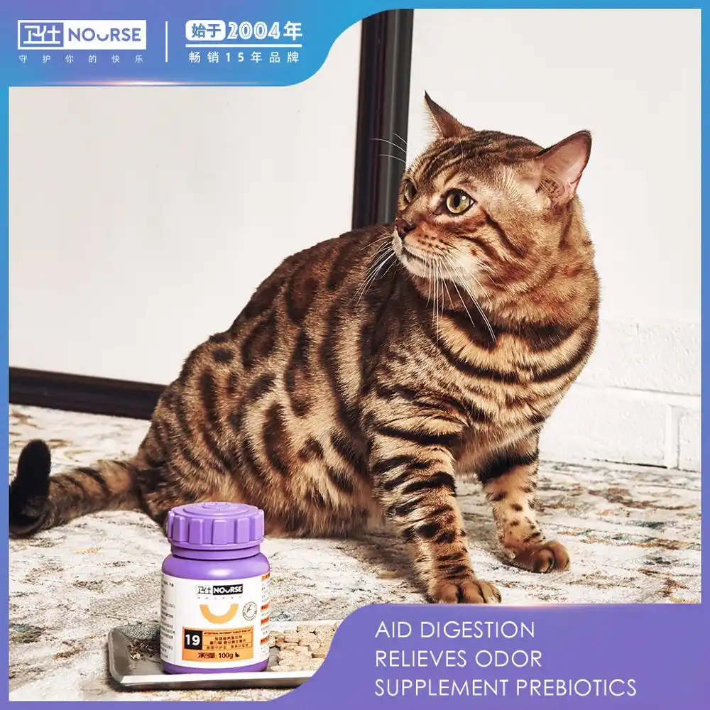 cat probiotics constipation
