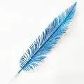 Blue D