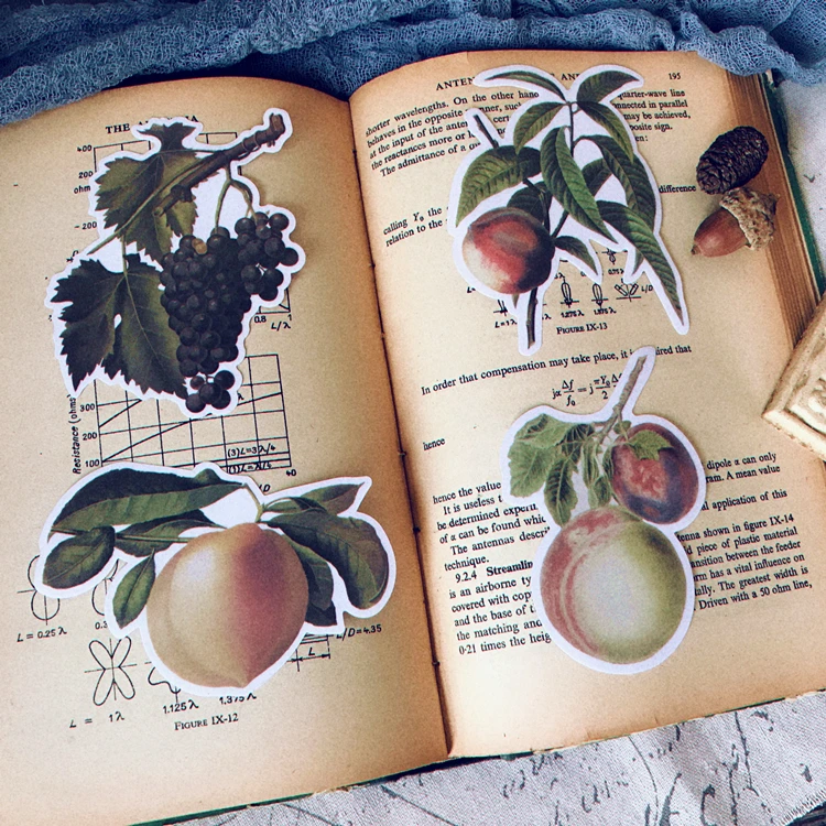 9Pcs/Pack Retro Fruit Leaves Sticker DIY Craft Scrapbooking Album Junk Journal Planner Decorative Stickers