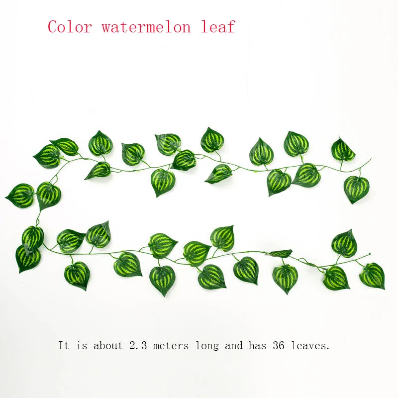 10224422495_1023033891