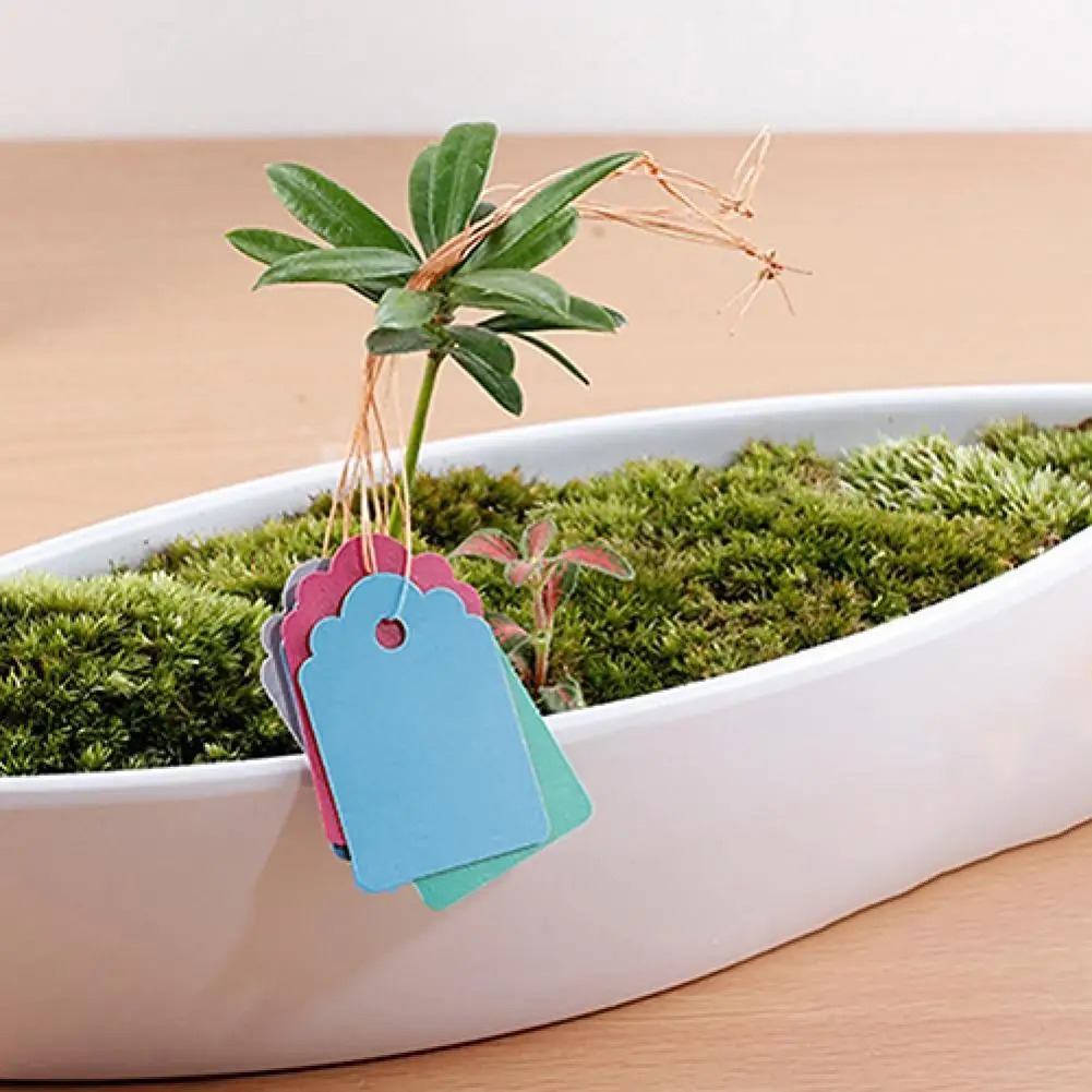 Garden Labels 100 Pcs Plastic Waterproof Plant Name Tags Strip Line Gardening Labels Signs Mark Tools Flower Shop Garden Accessories